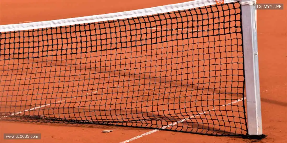 ⚽全球赛事，指尖掌控每分精彩！