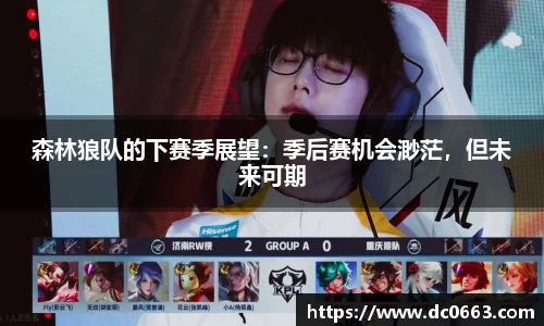 森林狼队的下赛季展望：季后赛机会渺茫，但未来可期